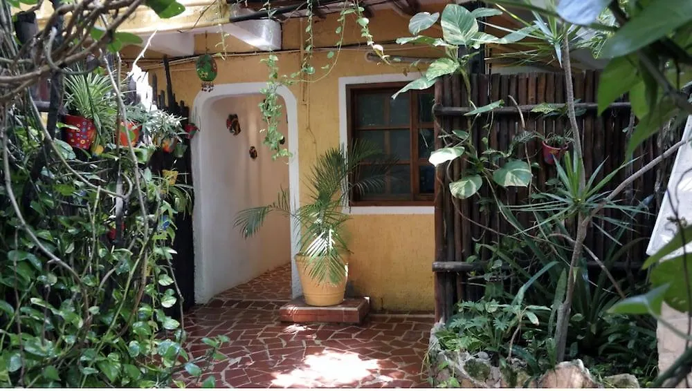 Maison Tulum Hotel