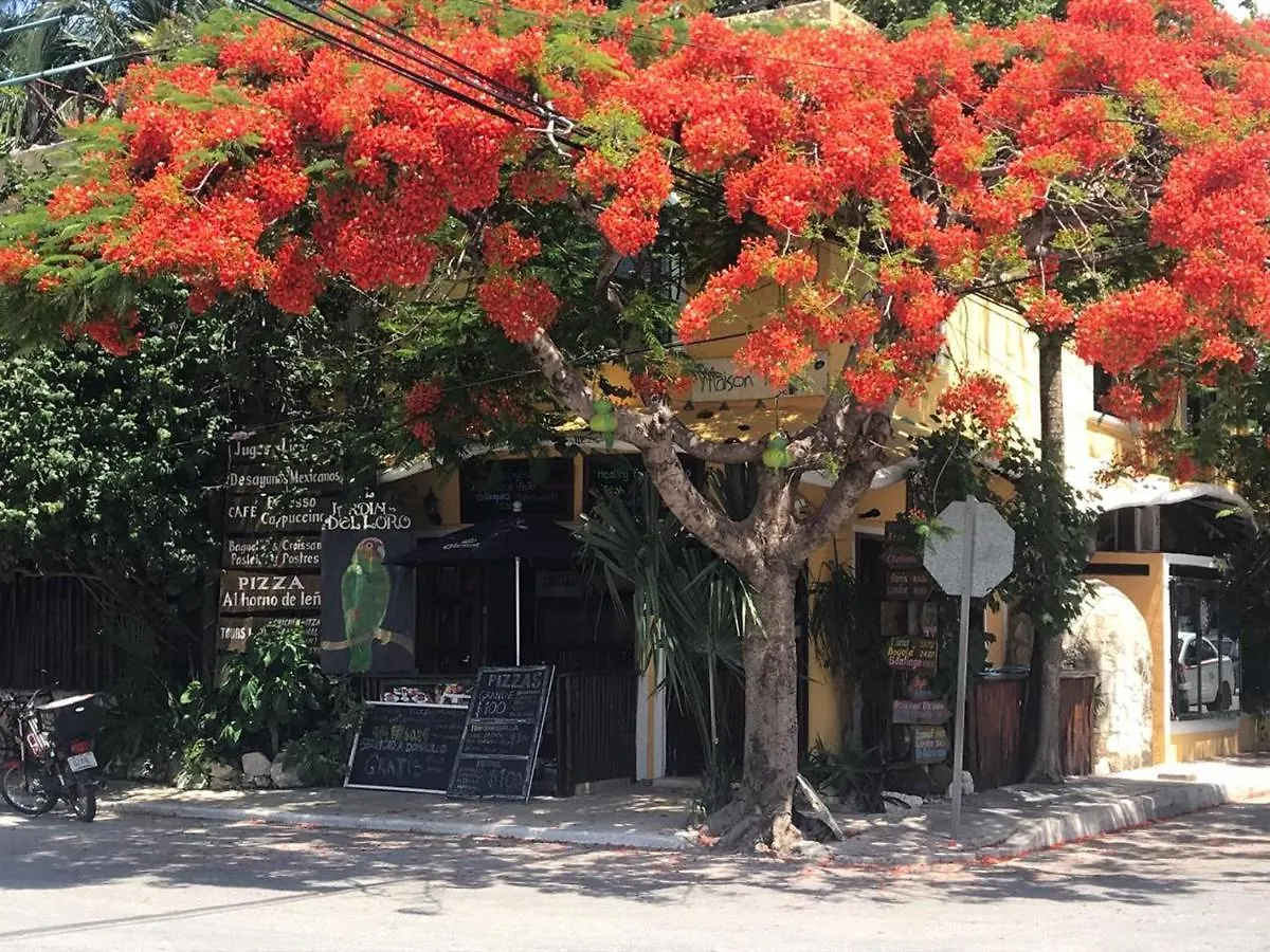 Maison Tulum Pueblo