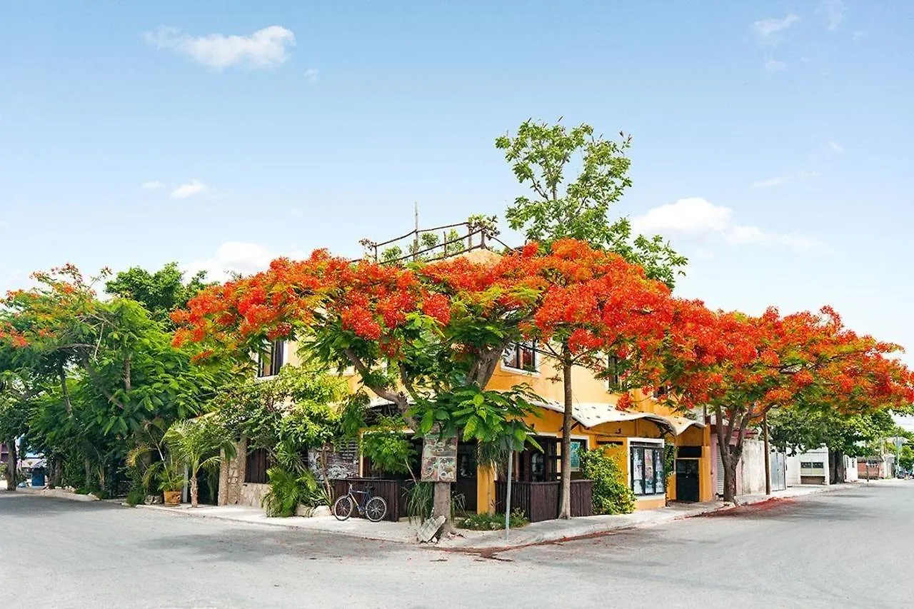 Hotel Maison Tulum Pueblo